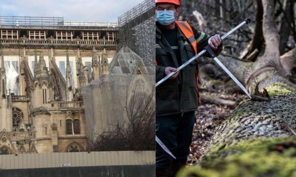 Παναγία των Παρισίων: Συνεχίζονται οι εργασίες για την αναστήλωσή της